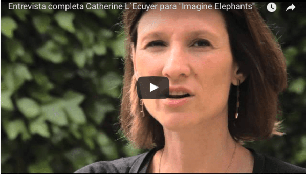 Captura de pantalla 2017-05-11 a las 11.56.34